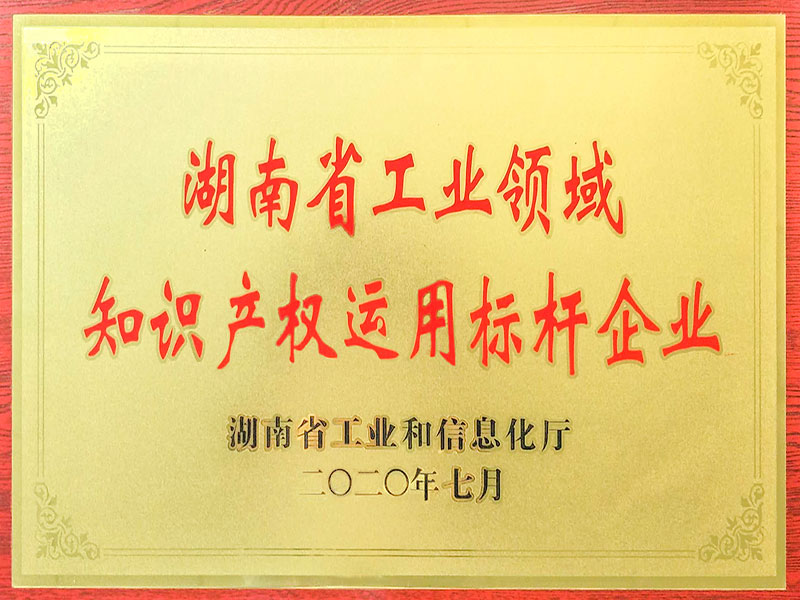 湖南省工業(yè)領域知識產(chǎn)權運用標桿企業(yè)